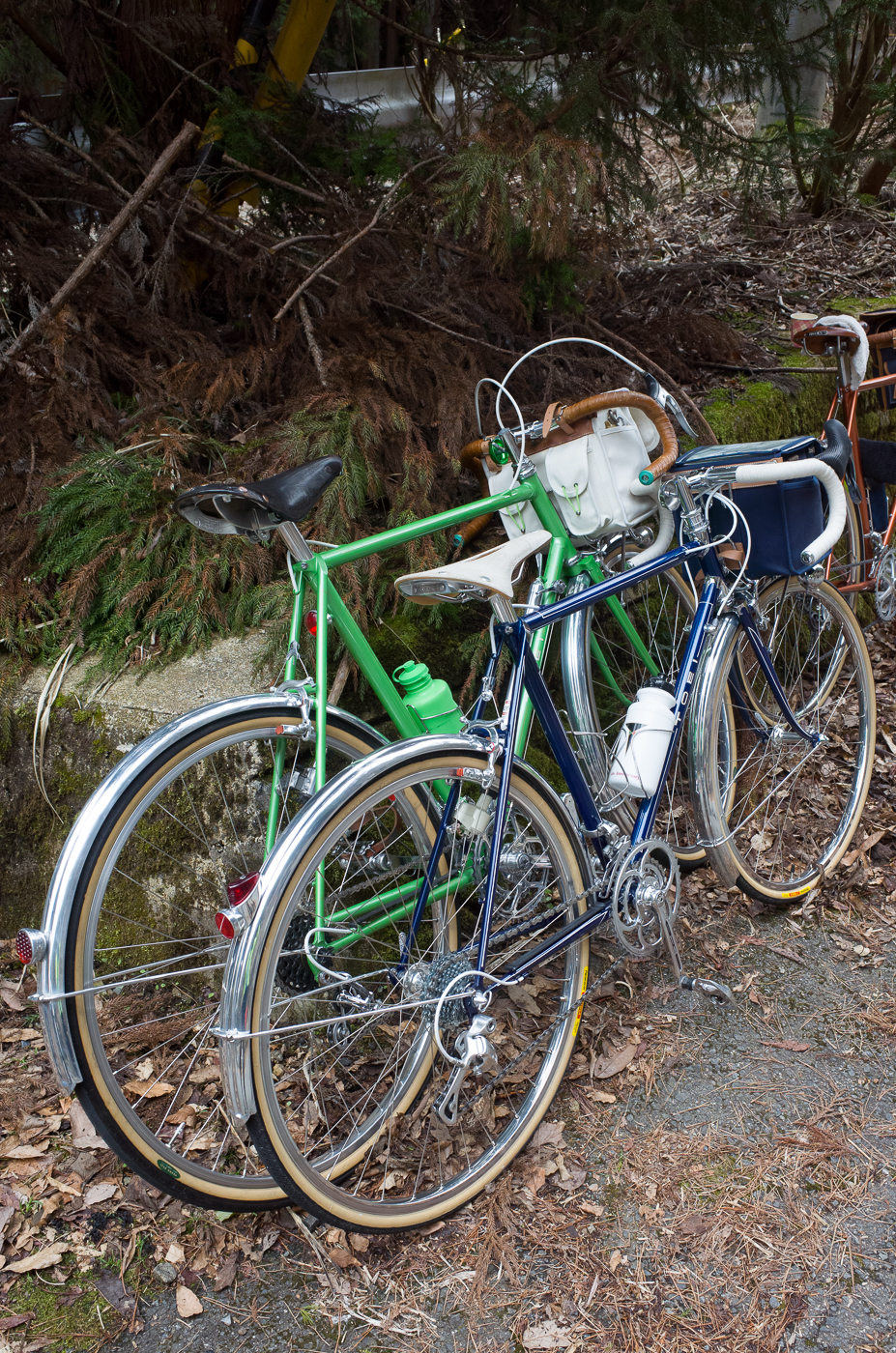 眼福・・ラリーグランボア・・金色サンジェなど: 自転車と山の日々