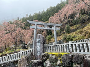 川井峠